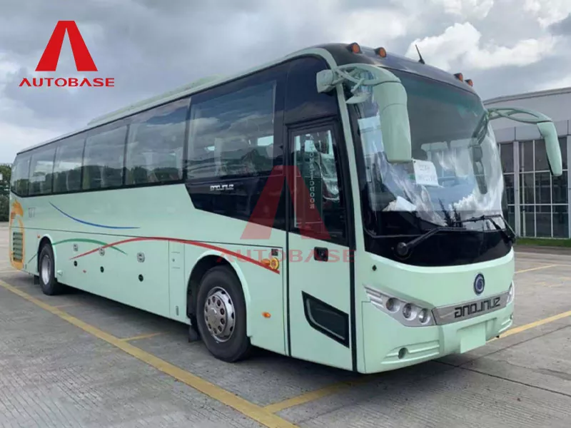 Bas Elektrik Polaris Pure